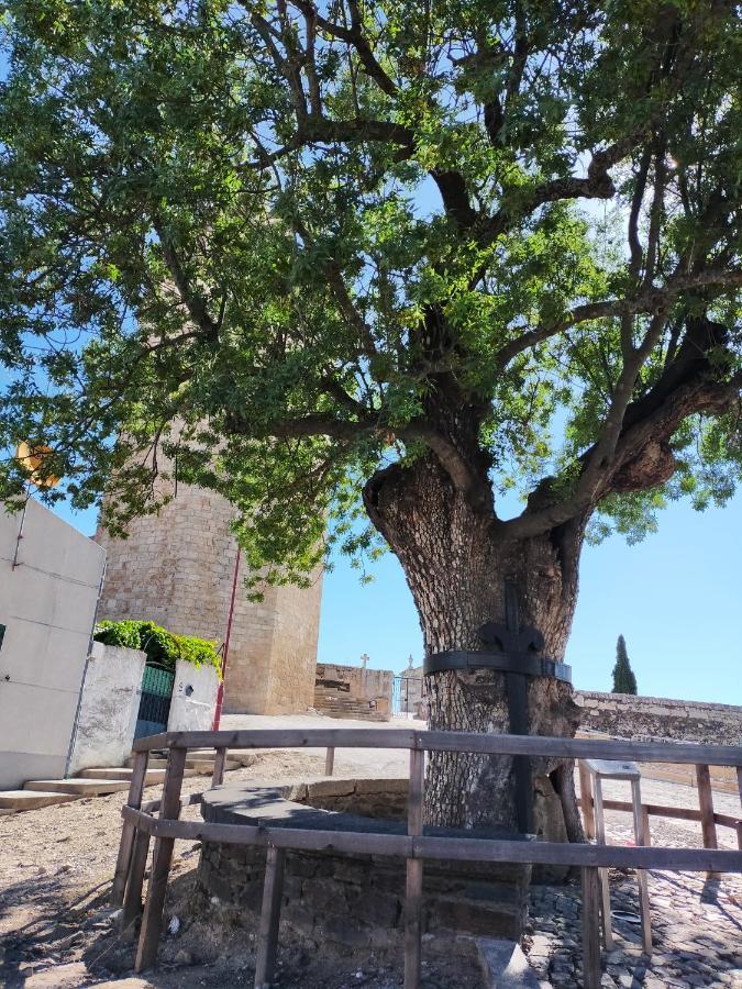 فيلا Casa Do Conselheiro Freixo de Espada à Cinta المظهر الخارجي الصورة
